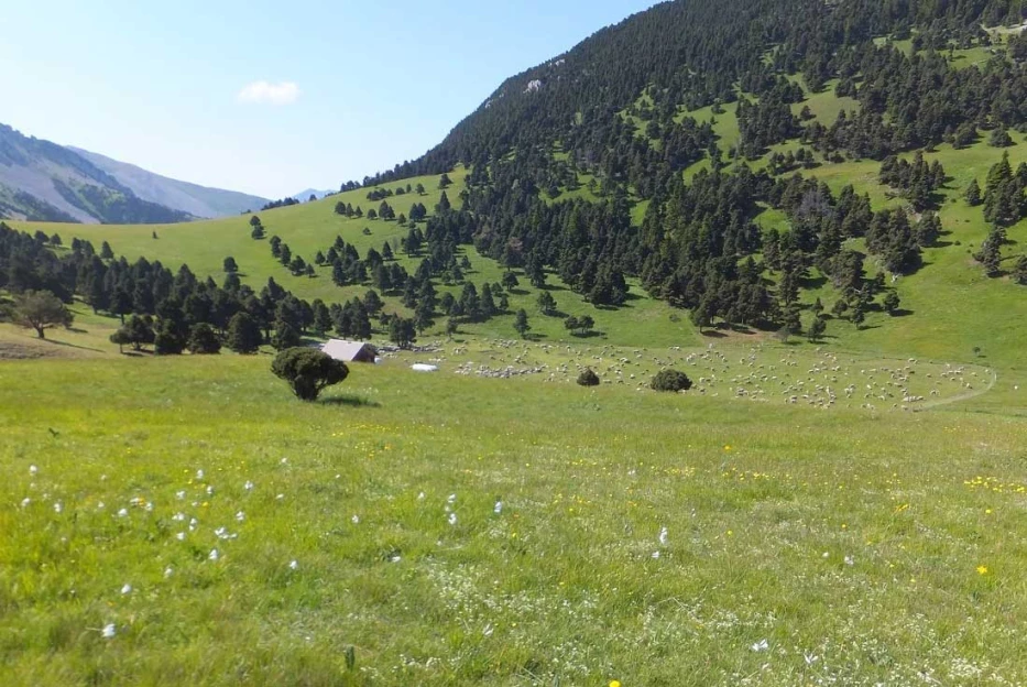 Sur les pas des Huguenots : Die - Le Percy - Alpes du Nord