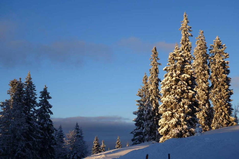 WE Réveillon dans le Haut Jura - Jura