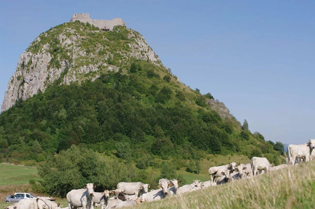 Pays Cathare en Liberté - Pyrénées