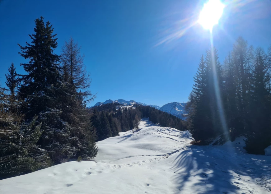 Les balcons du Mont-Blanc - Alpes du Nord