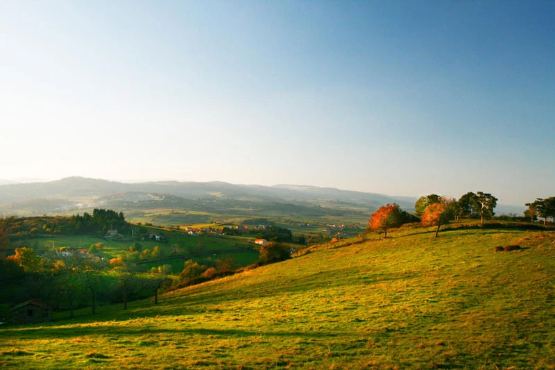 Chemins de Compostelle : Cluny - Le Puy en Velay - Massif Central