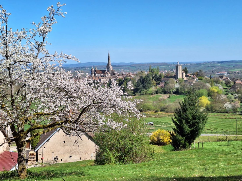 Chemins de Compostelle : Vézelay - Autun - Massif Central
