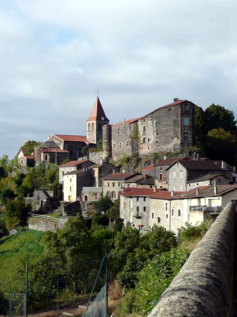 Chemins de Compostelle : Le Puy - Conques - Massif Central