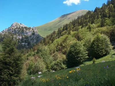 Tour des Bauges en liberté - Alpes du Nord