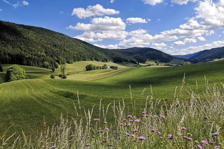 Vercors d'Exception en liberté - Alpes du Nord