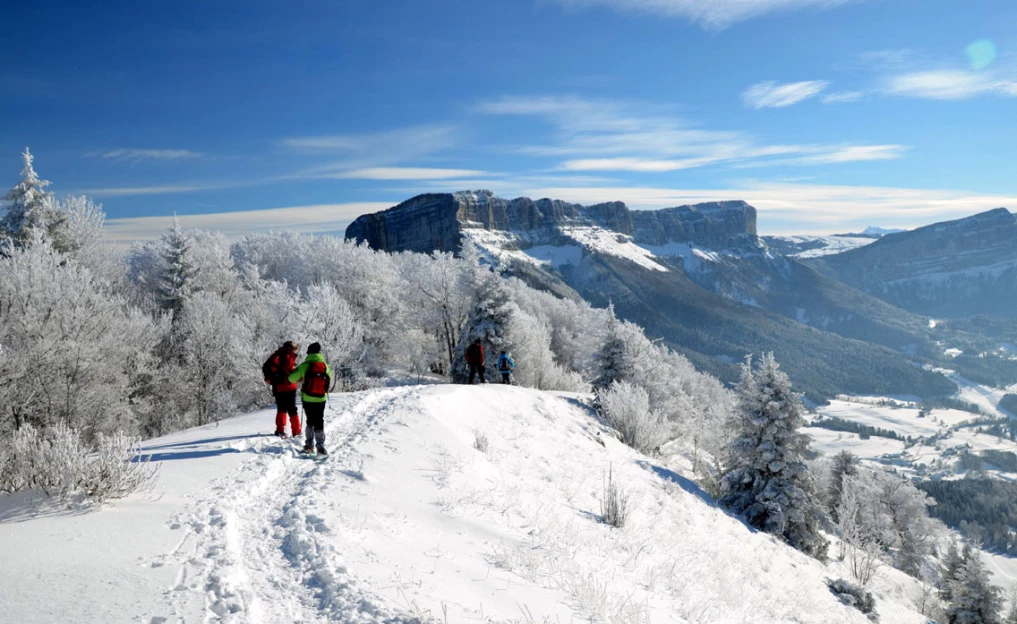 Raquettes douces en Chartreuse - Alpes du Nord