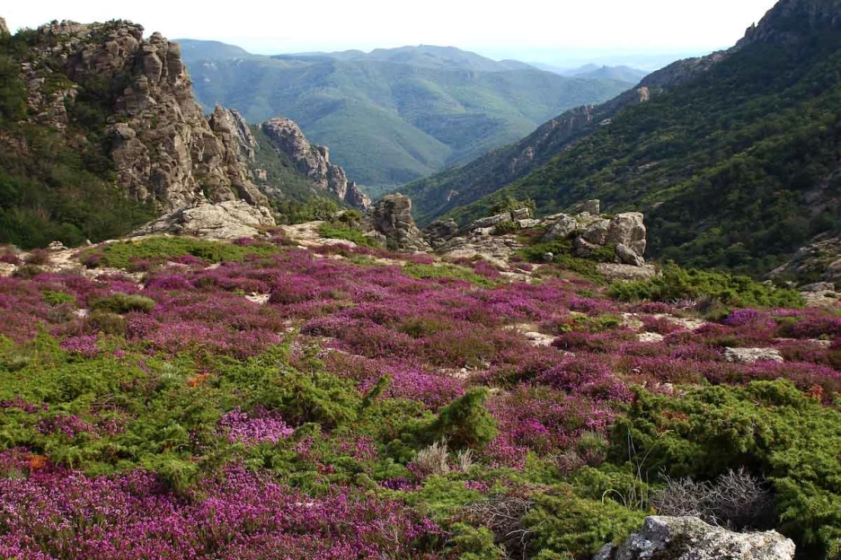 Caroux en Liberté - Massif Central