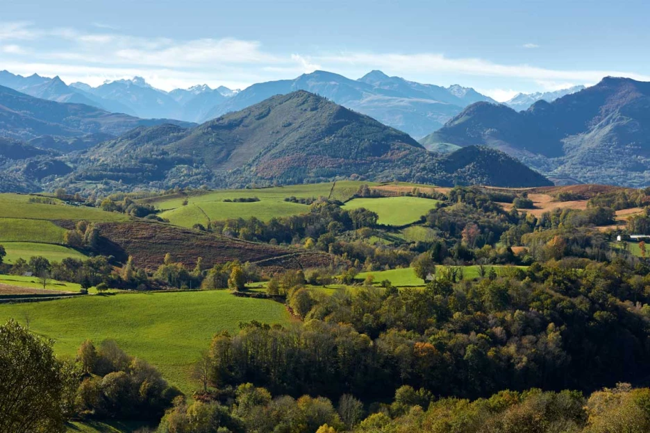 Chemins de Compostelle : Toulouse - Maubourguet - Massif Central