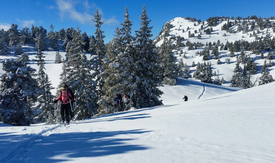 Traversée du Vercors - Alpes du Nord